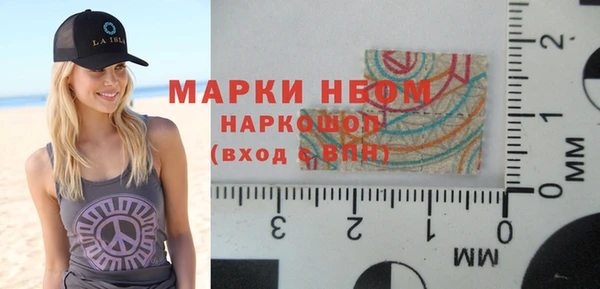 индика Гусиноозёрск