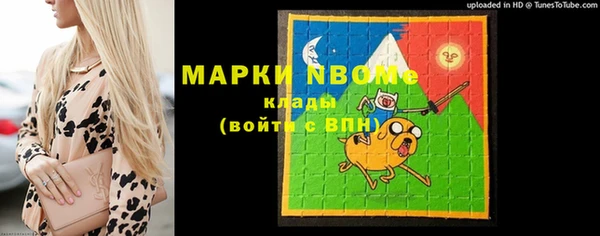 индика Гусиноозёрск