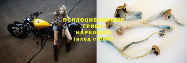 винт Гусев