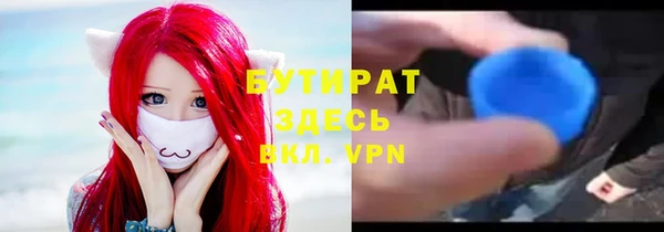 индика Гусиноозёрск
