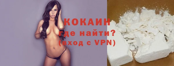 индика Гусиноозёрск