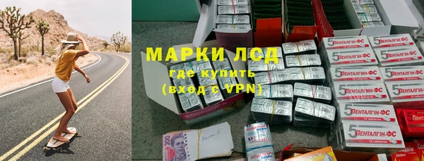 индика Гусиноозёрск