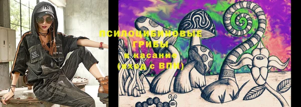 индика Гусиноозёрск