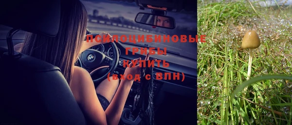 индика Гусиноозёрск
