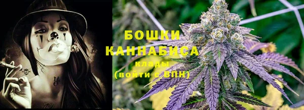 индика Гусиноозёрск