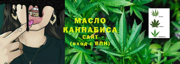 индика Гусиноозёрск