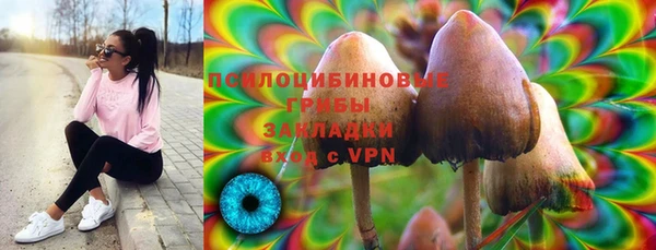 винт Гусев