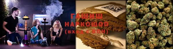 индика Гусиноозёрск