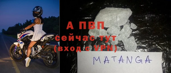 индика Гусиноозёрск